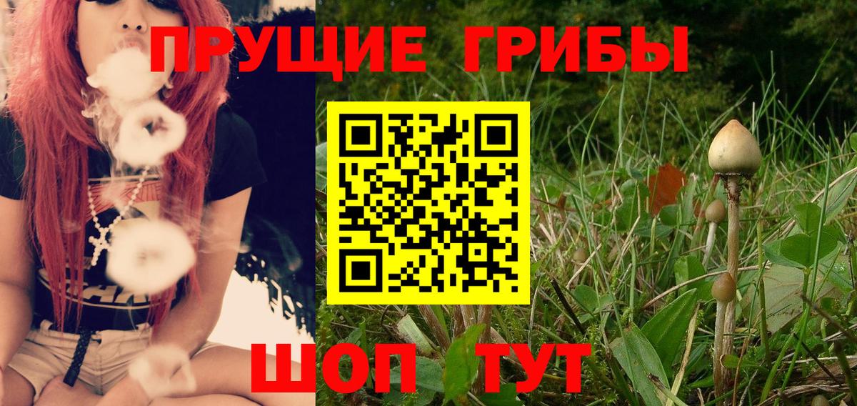 Галлюциногенные грибы Magic Shrooms  цены   Шелехов  Вход с VPN 